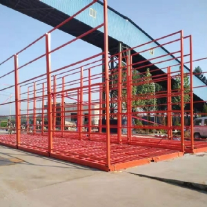 定制洗輪機(jī)